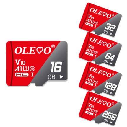 High-Speed Mini SD Cards (4GB - 512GB)